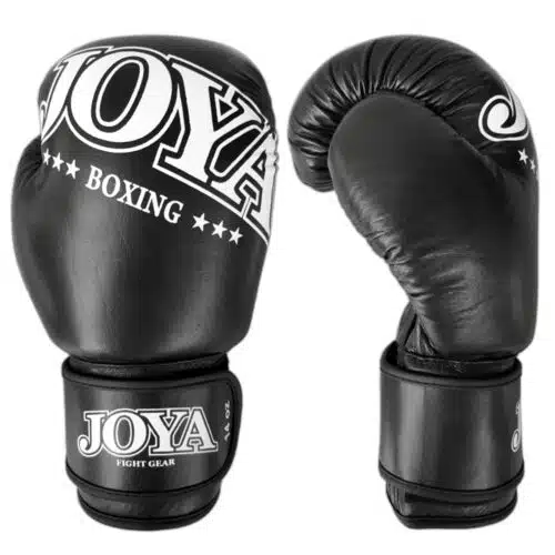 Joya Bokshandschoen Leer Zwart