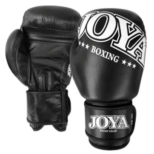 Joya Bokshandschoen Leer Zwart