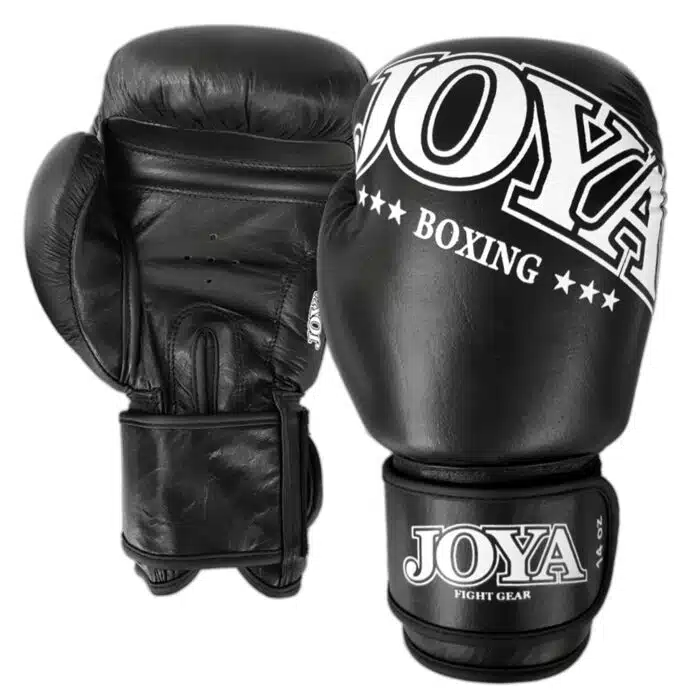 Joya Bokshandschoen Leer Zwart