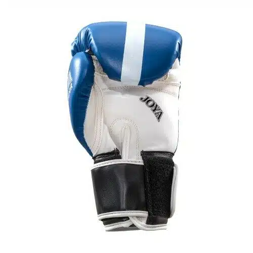 20171127_joya_jeugdserie_blauw_handschoenen_07_kopie_ren