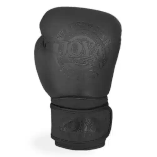 Joya Fight Fast Bokshandschoen Zwart