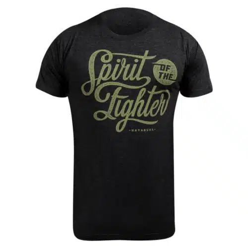 Hayabusa spirit of fighters shirt