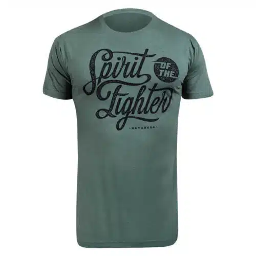 Hayabusa spirit of fighters shirt