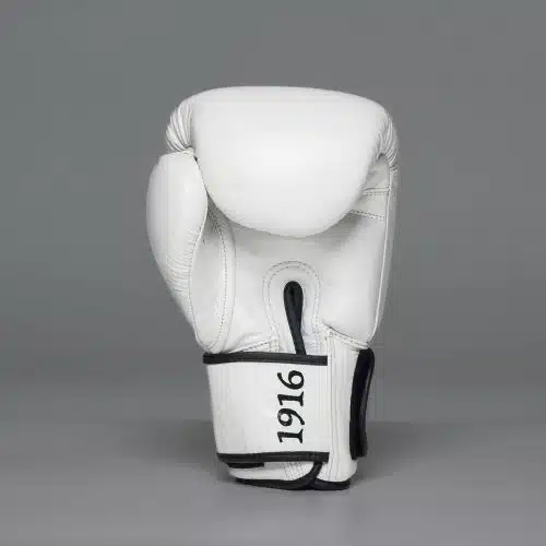 1916 Old School Pro Bokshandschoen Wit (1)