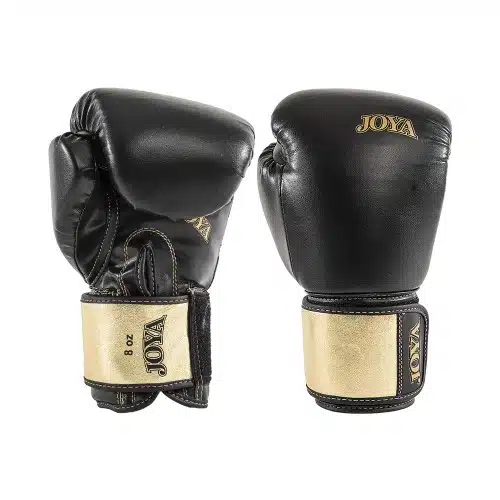 Joya bokshandschoen top one