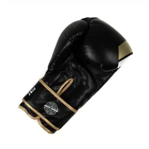 Booster bt sparring v2
