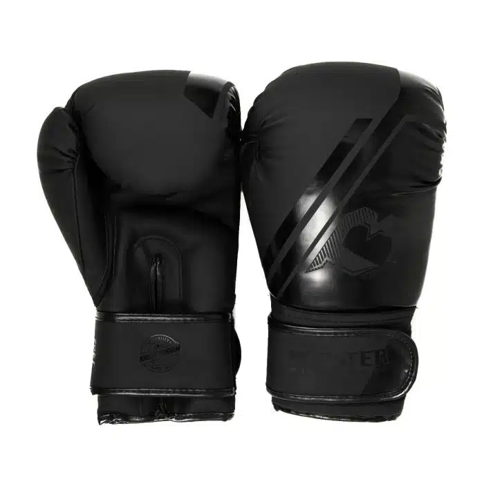 Booster bt sparring v2