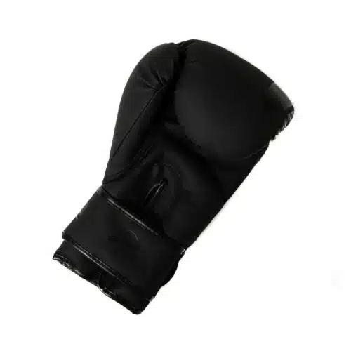 Booster bt sparring v2