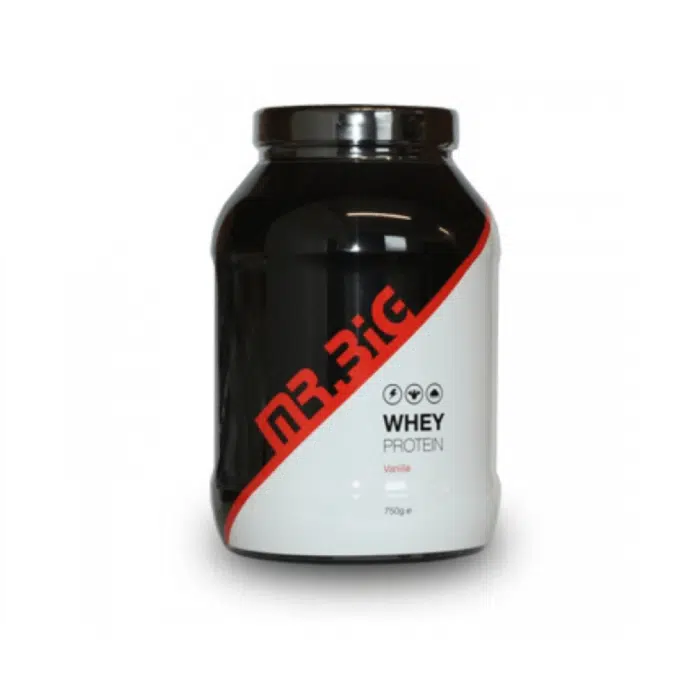 mr big whey protein cookies