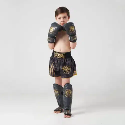 Joya kickboks set dino