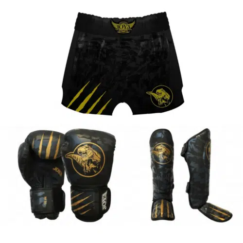 Joya kickboks set dino goud