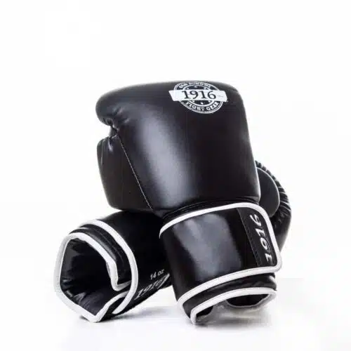 1916 Fight Gear Bokshandschoen Premium PU