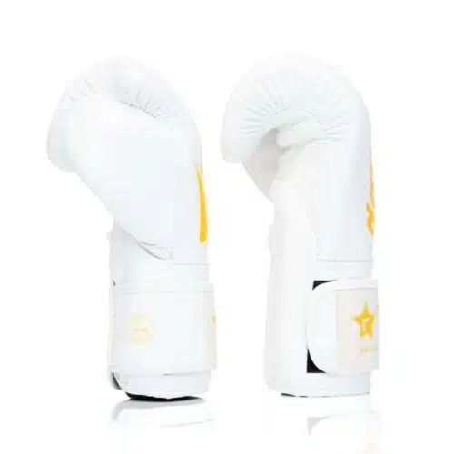 Fairtex x booster bokshandschoen wit