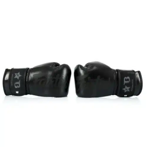 Fairtex x booster bokshandschoen zwart