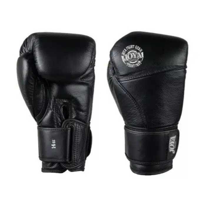 Joya bokshandschoenen eagle