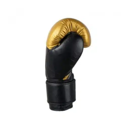 Joya bokshandschoenen eagle