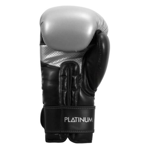 Title boxing bokshandschoenen proclaim