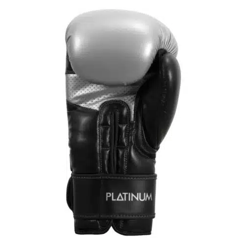 Title boxing bokshandschoenen proclaim
