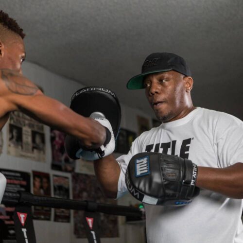 title boxing handpads platinum 2.0