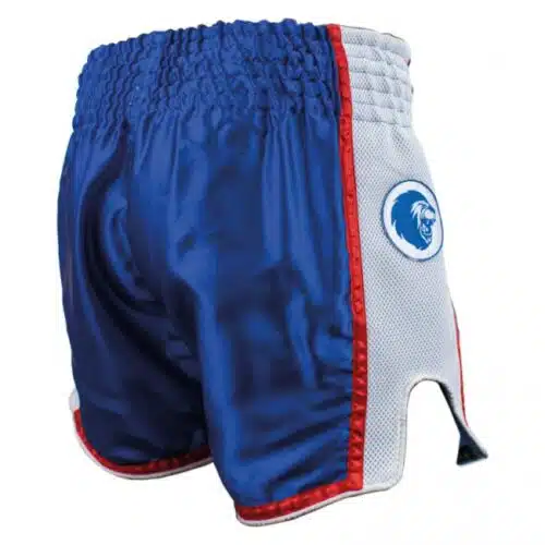 Super pro kickboksbroek thai stripes