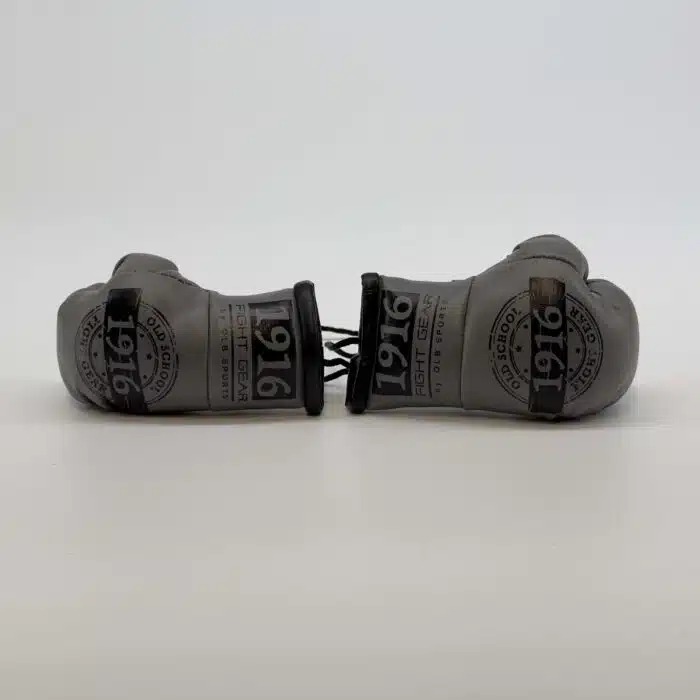1916 fight gear car hanger