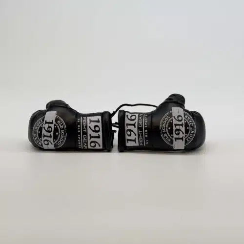 1916 fight gear car hanger