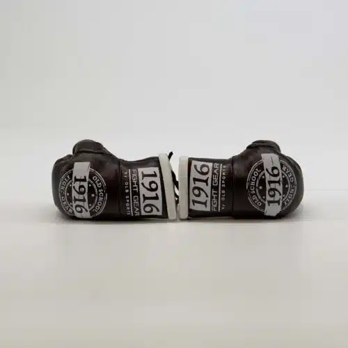 1916 fight gear car hanger