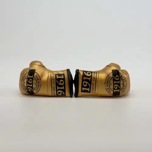 1916 fight gear car hanger