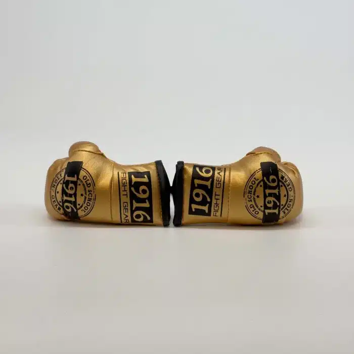1916 fight gear car hanger