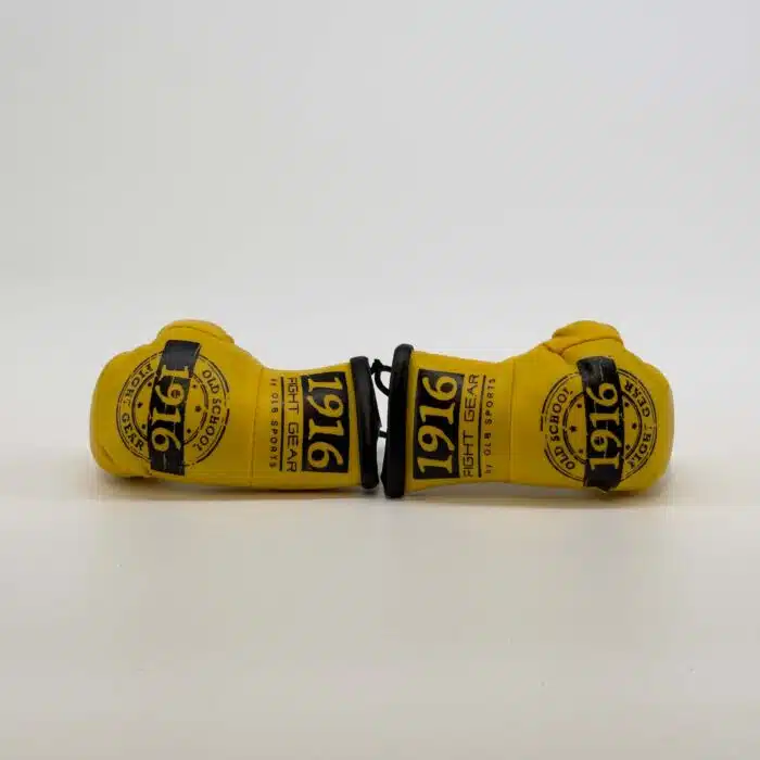 1916 fight gear car hanger