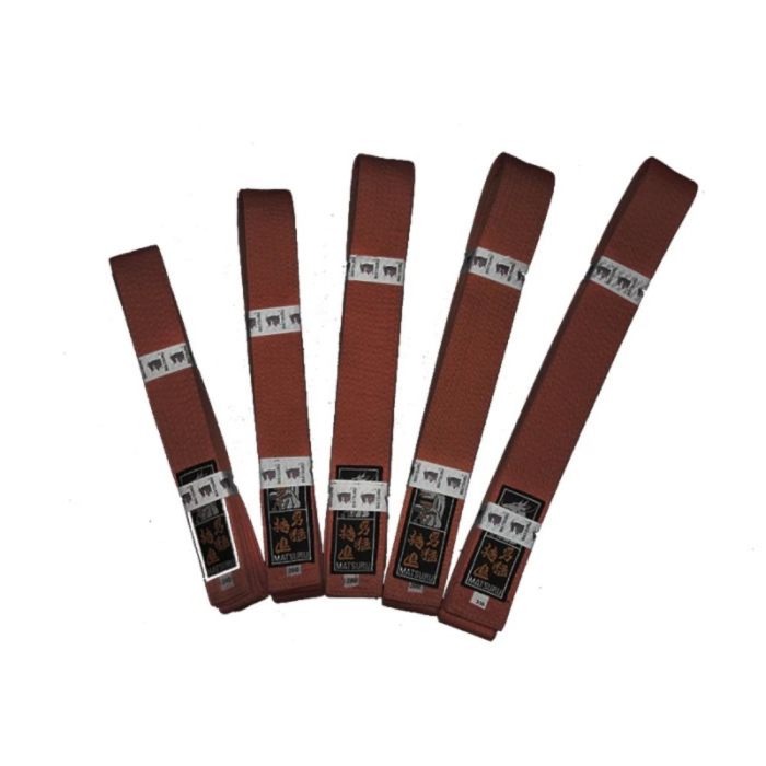 matsuru budo band bruin