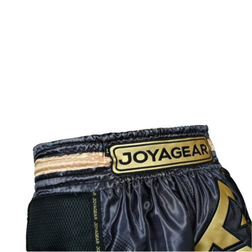 Joaygear kickboksbroek evolution zwart/goud