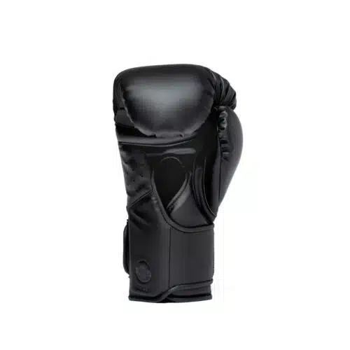 Everlast Elite 2 Pro Bokshandschoenen H&L