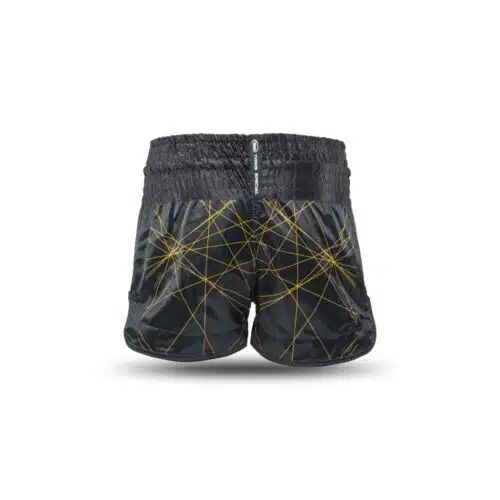 Twins X Booster Kickboksbroek TBT 2 Zwart/Goud