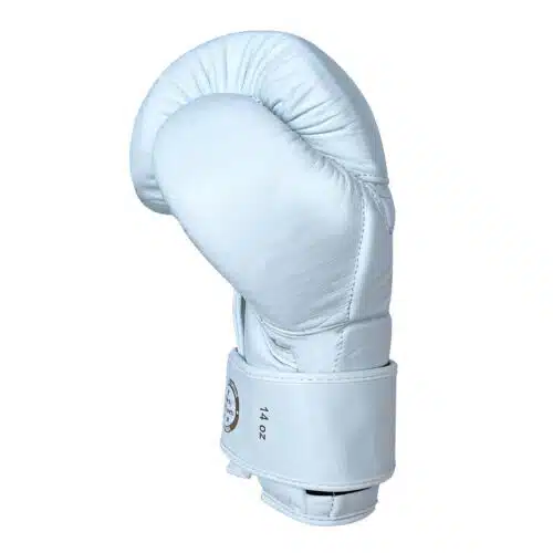 Joya gear bokshandschoenen falcon white gold