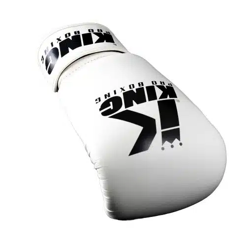 https_-www.booster.be-pub-media-catalog-product-p-i-picture_1y (1)
