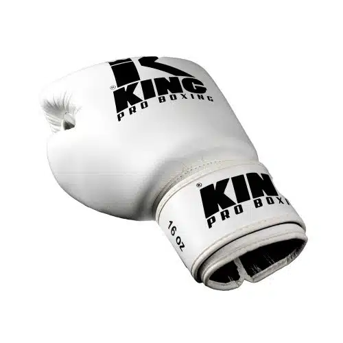 https_-www.booster.be-pub-media-catalog-product-p-i-picture_1z (1)