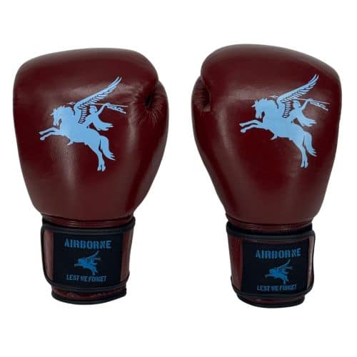 1916 fight gear airborne bokshandschoenen