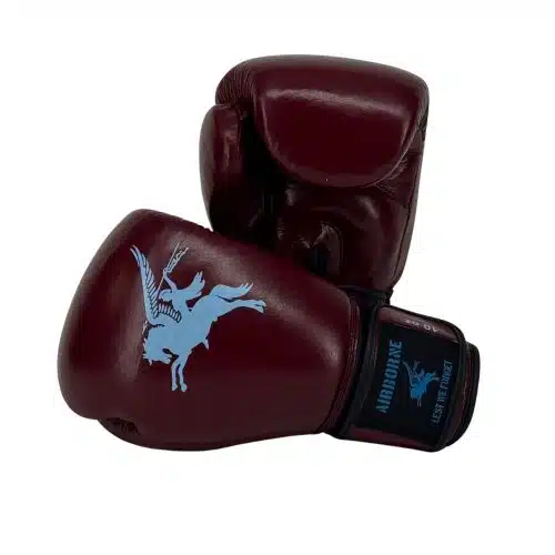 1916 fight gear airborne bokshandschoenen