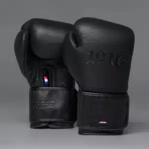 1916 Fight Gear Bokshandschoenen Premium Elite Black/Black