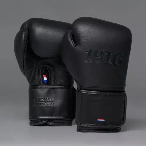 1916 Fight Gear Bokshandschoenen Premium Elite Black/Black