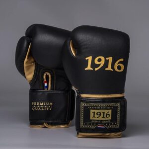 1916 Fight Gear Bokshandschoenen Premium Elite Black/Gold