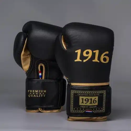 1916 Fight Gear Bokshandschoenen Premium Elite Black/Gold