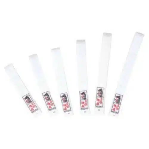 Matsuru Budo Band Wit