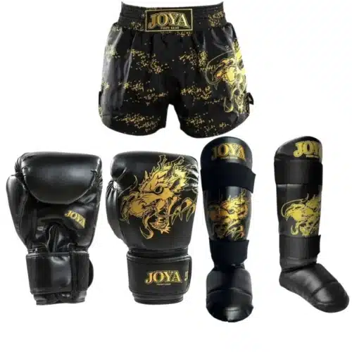 Joya Fight Gear Kickboks Set Kids Dragon Goud
